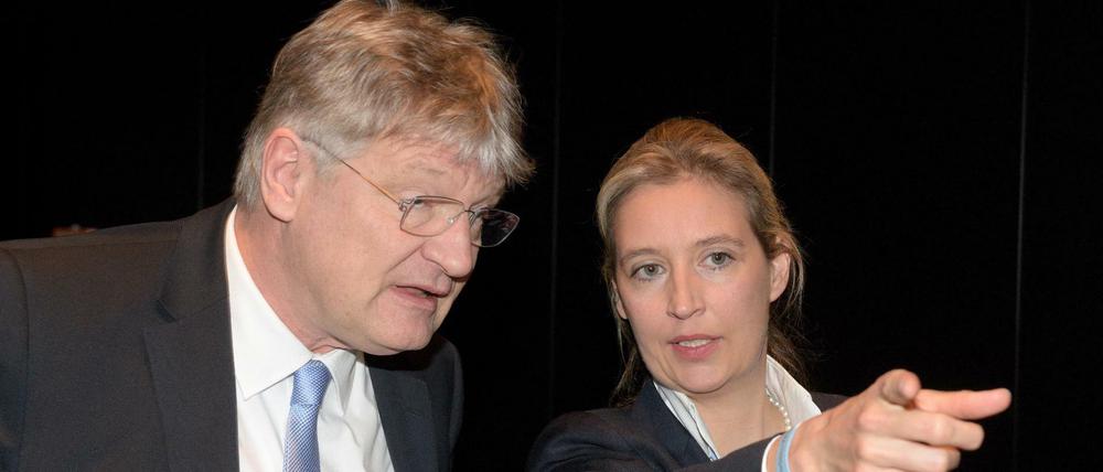 Im Zentrum der AfD-Spendenaffäre stehen Parteichef Jörg Meuthen und Fraktionschefin Alice Weidel.