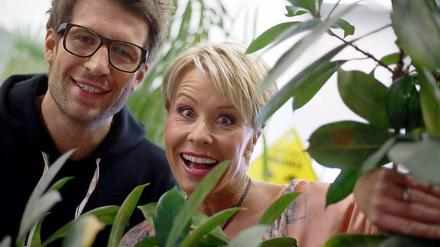 Daniel Hartwich sieht zwar nett aus - beim Dschungelcamp aber holt er die Peitsche raus.