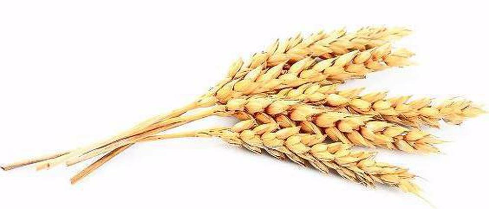 Ertragreich kann die Getreideernte nicht nur für die Bauern sein. Spekulationen auf alle möglichen Agrarprodukte sind inzwischen ein Milliardengeschäft.