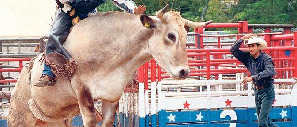 Nur Fliegen ist schöner. Rodeoreiter gab es auf dem Deutsch-Amerikanischen Volksfest in Dahlem wiederholt zu sehen. Foto: pa/doa