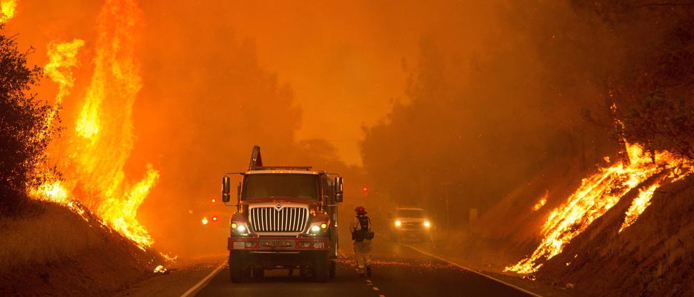Mit der Trockenheit und Hitze kommen oft Waldbrände wie hier in Kalifornien.