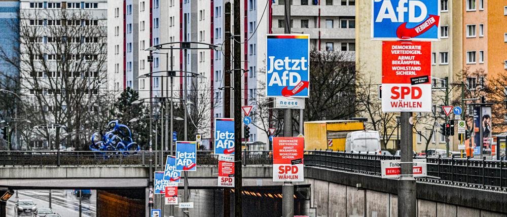 AfD-Wahlplakate in Marzahn-Hellersdorf.