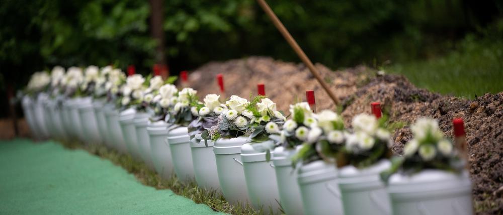 Urnen stehen während einer Beisetzung von Körperspendern der Universität Gießen auf dem Neuen Friedhof nebeneinander.
