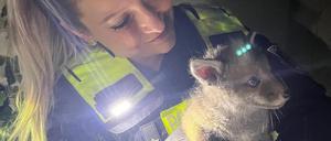 Berliner Polizisten haben in der Nacht zu Mittwoch bei einem Einsatz einen kleinen Fuchs gerettet.