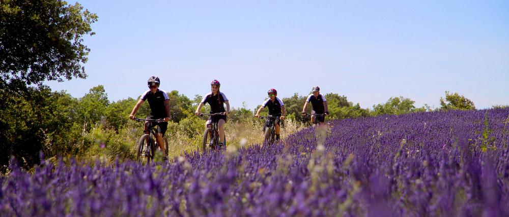 Lavendel und Helme, das ist die Provence.