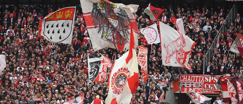 Nicht nur beim Feiern voll dabei. Die Fans des 1. FC Köln.