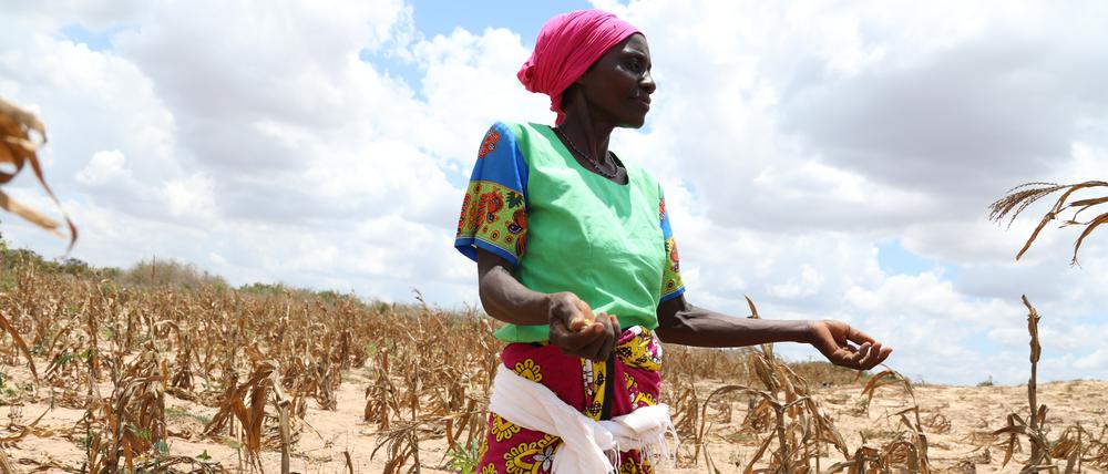 Die Dorfbewohnerin Zawadi Msafiri steht am 23. März 2022 auf einem verdorrten Maisfeld. Das Land am Horn von Afrika kämpft nun mit der dritten Dürre innerhalb eines Jahrzehnts.