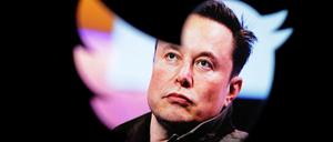 Elon Musk vor Twitter-Logo. 