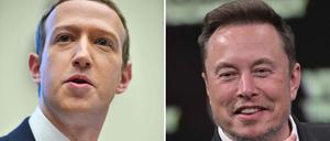 Nach Darstellung von Facebook-Gründer Mark Zuckerberg drückt sich Tesla-Chef Elon Musk vor dem von ihm selbst angestoßenen Käfigkampf der Tech-Milliardäre (Symbolbild).