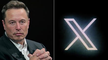 X-Inhaber Elon Musk
