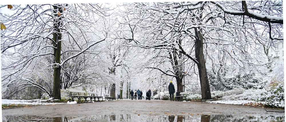 Menschen spazieren in einem Park nach dem ersten Schneefall dieses Winters.