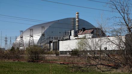 Die Strahlungsbedingungen in Tschernobyl sind weltweit einzigartig – das wollen Forscher nun nutzen.