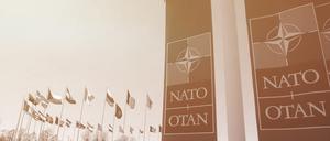 Die Nato feiert Geburtstag. Experten analysieren, wie es für das Bündnis weitergeht.