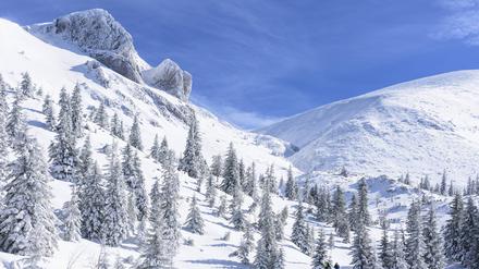 In einem österreichischen Skigebiet wurde die Leiche eines Snowboarders gefunden (Symbolbild). 