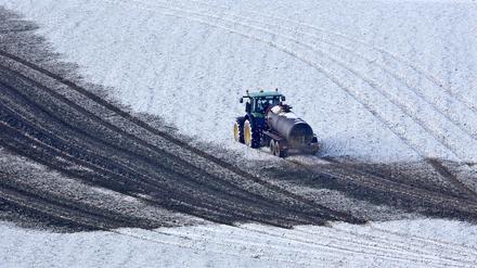 Ein Landwirt bringt Gülle auf einem verschneiten Feld bei Seiffen im Erzgebirge (Sachsen) aus.