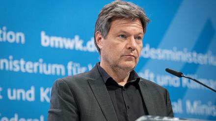 Bundeswirtschaftsminister Robert Habeck bei einer Pressekonferenz im April 2024 in Berlin. 
