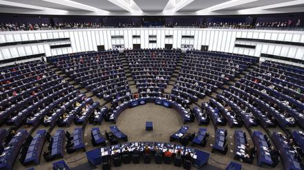 Anfang Juni werden die Mitglieder des Europäischen Parlaments neu gewählt. 