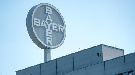 Abschreibungen im Agrargeschäft haben Bayer im zweiten Quartal einen Milliardenverlust eingebrockt (Symbolbild).