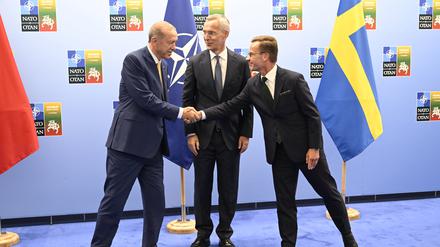 Handshake in Vilnius: Erdogan sagt Unterstützung für schwedischen Nato-Beitritt zu