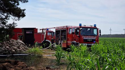 Feuerwehrfahrzeuge stehen am Waldrand (Symbolbild).
