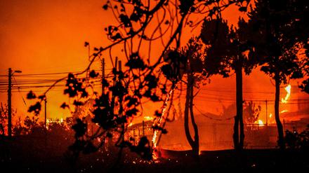 Flammen und Rauch sind bei einem Waldbrand in Chile zu sehen. Die USA bieten jetzt ihre Hilfe an.