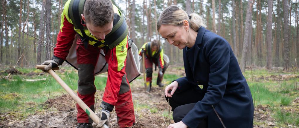 Eine Woche vor der Baumpflanzaktion mit Senatorin Manja Schreiner (CDU) ordnete die Umweltstaatssekretärin neue Richtlinien für die Forsten an.