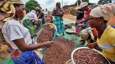 Kakaobäuerinnen an der Elfenbeinküste.