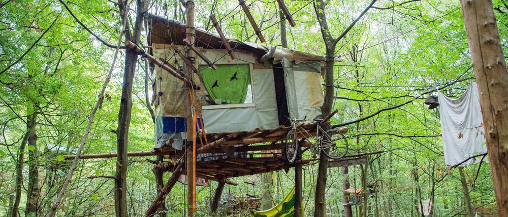 Aktivisten haben ein Baumhaus im Hambacher Forst gebaut. In dem Camp wird gegen die Rodung des Waldes demonstriert.
