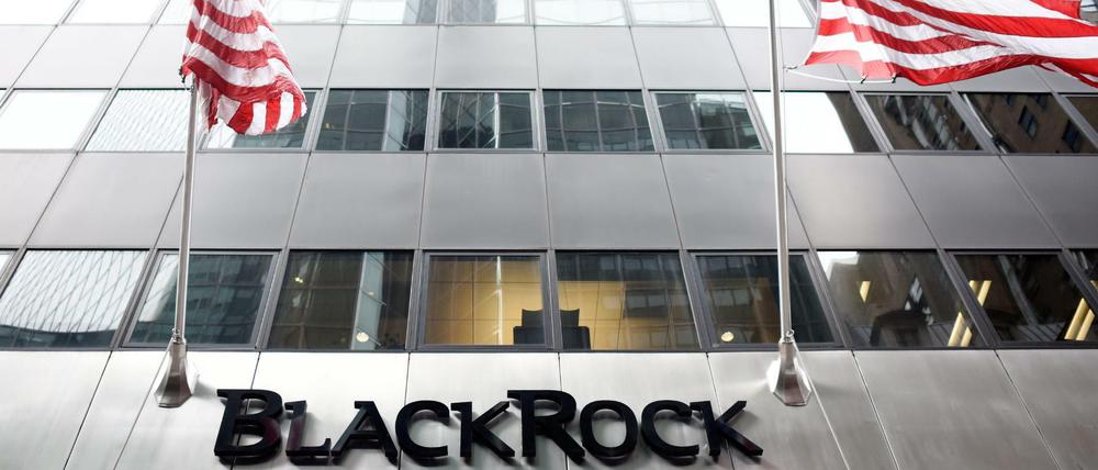 Blackrock, wo der CDU-Politiker Friedrich Merz im deutschen Aufsichtsrat sitzt, ist der größte Vermögensverwalter der Welt.