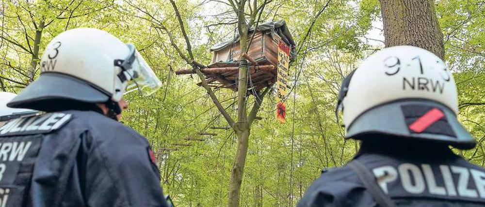 Front im Wald: RWE will für den Tagebau roden, Aktivisten wollen die letzten Reste des Forsts retten. Die Polizei schreitet ein.