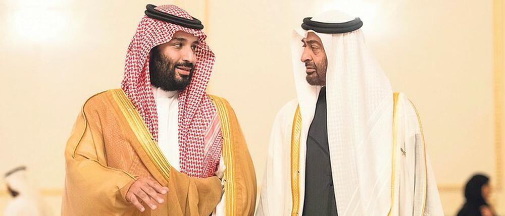 Gemeinsame Sache – der saudische Kronprinz bin Salman (l.) und bin Zayed, Thronfolger der Emirate. 