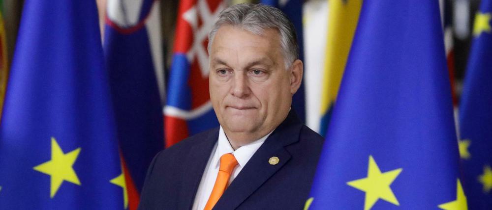 Freiheitskämpfer. Viktor Orbán profitiert auch von Kritik aus der EU-Kommission.