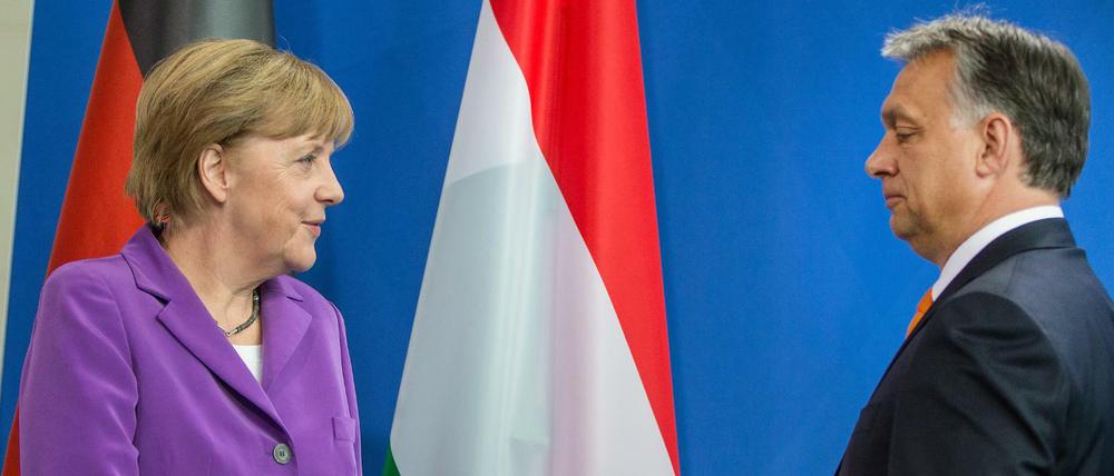 Abgekühltes Verhältnis. Kanzlerin Angela Merkel und Ungarns Regierungschef Viktor Orban im Jahr 2014 in Berlin.