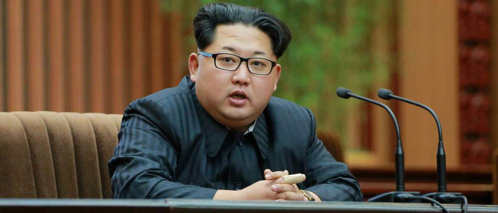 Kim Jong-un, Machthaber Nordkoreas. 