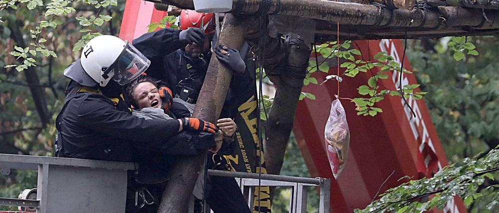Polizisten ziehen einen Aktivisten von einer Baumplattform. 