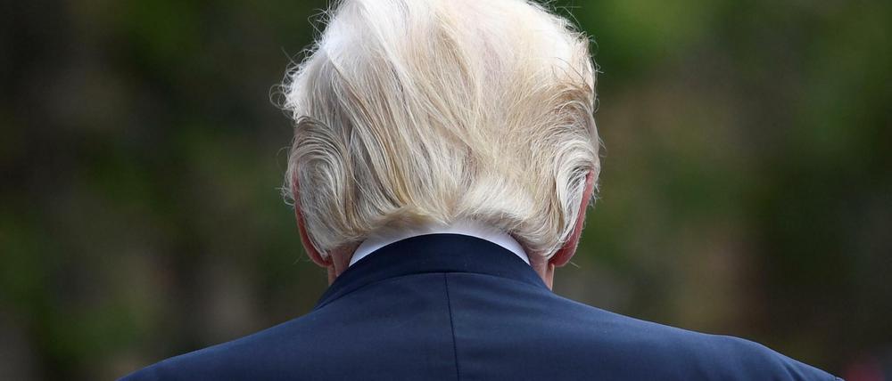 Mit dem Rücken zur Wand: US-Präsident Donald Trump.