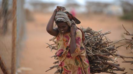 Lange Wege, um Wasser, Nahrung und Feuerholz zu besorgen. Meistens sind es Frauen – wie hier in Somalia –, die die Versorgung der Familie garantieren.