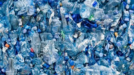 Verpackungen aus Kunststoff sind ein großes Problem. Sie machen in der EU 60 Prozent des Plastikmülls aus. 