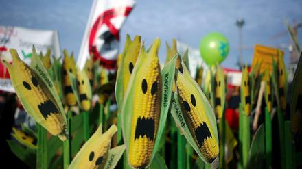 Die Stimmung in Deutschland ist eindeutig. Die wenigsten wollen gentechnisch veränderten Mais oder andere Produkte der grünen Gentechnik auf deutschen Äckern sehen. Doch die Verhandlungen in der Europäischen Union sind weiterhin schwierig. 