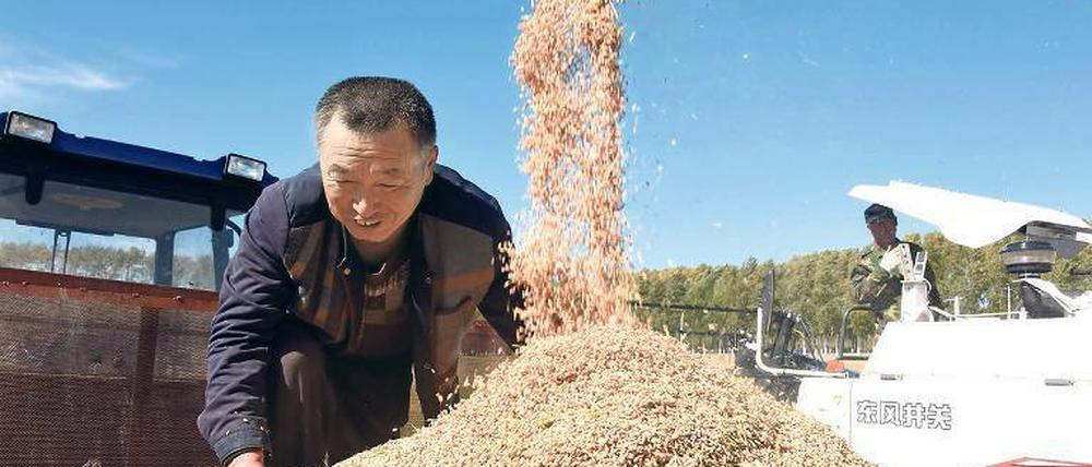 Auch auf Reis aus China erheben die USA einen Strafzoll.