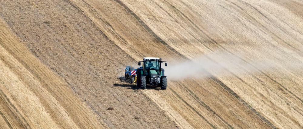 Knochentrocken: Beim Striegeln auf einem abgeernteten Getreidefeld zieht ein Traktor eine Staubwolke hinter sich her. 