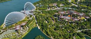 Von der grünen Stadt zur Stadt im Grünen. Im Herzen Singapurs entsteht ein botanischer Garten, der nach Abschluss der 2. Bauphase 101 Hektar ist.