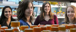 Christina Smolke (zweite von links) und ihr Team an der Universität Stanford verwandeln Bierhefe in Arzneimittelproduzenten.