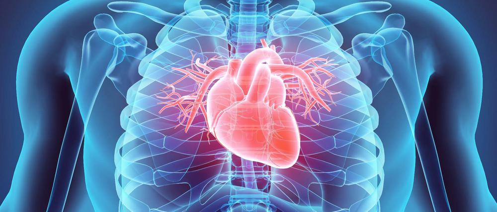 Herzenssache. Vor 50 Jahren wurde einem Patienten zum ersten Mal ein Herz transplantiert. 