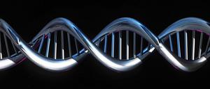 Eine Computer generierte Doppelhelix der menschlichen DNA. 