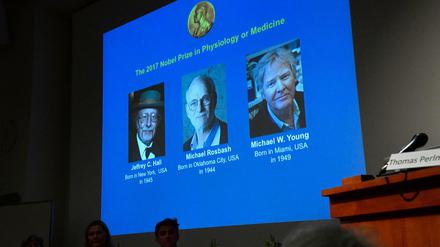 Der Nobelpreis für Physiologie und Medizin geht in diesem Jahr an die drei US-Amerikaner Jeffrey C. Hall und Michael Rosbash von der Brandeis Universität in Boston und Michael W. Young von der Rockefeller Universität in New York City.