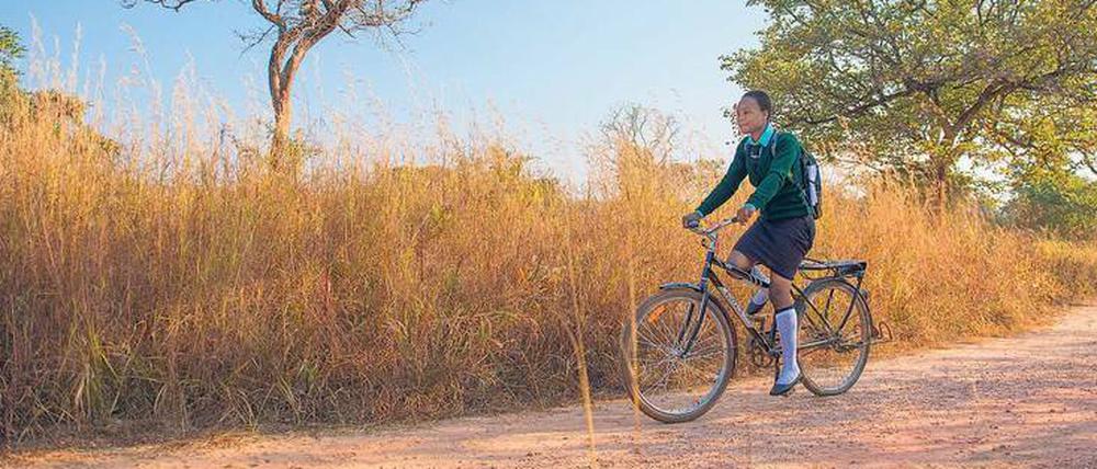 Lohnender Weg. Wer sein Rad zwei Jahre lang pfleglich behandelt und jeden Tag pünktlich damit zum Unterricht erscheint, darf es als sein Eigentum betrachten. Das Programm Study-to-own“ wurde in Sambia gestartet. 