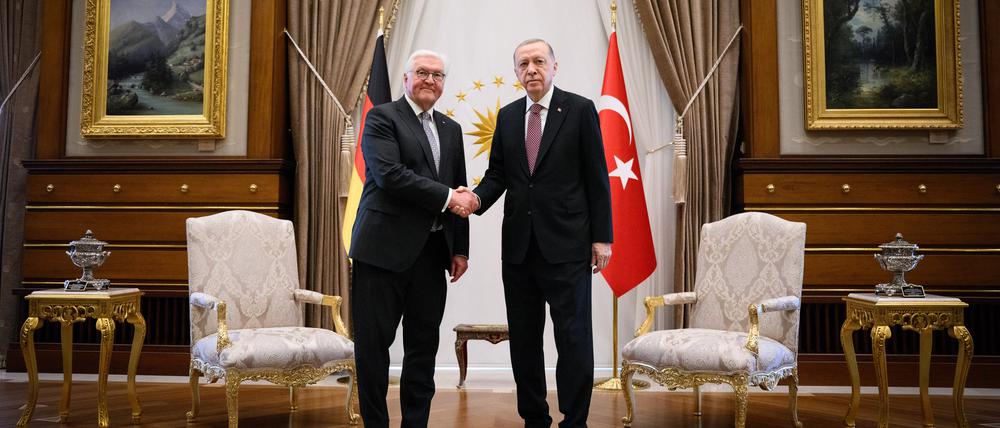 Bundespräsident Frank-Walter Steinmeier (l) und Recep Tayyip Erdoğan, Präsident der Türkei, treffen sich zu einem Gespräch im Präsidialpalast.