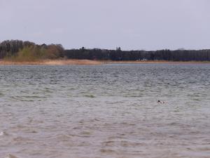 Große Seddiner See, Grosse Seddiner See, Gewässer, Gewaesser, Foto: Ottmar Winter PNN ACHTUNG: Foto ist ausschließlich für redaktionelle Berichterstattung der PNN und des TGSP! 
