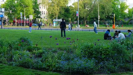 Jugendliche sitzen auf der Grünanlage am Savignyplatz und spielen dort Fußball.